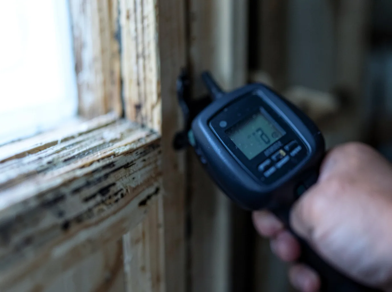 Moisture Inspection And Documentation in Tahoma, CA